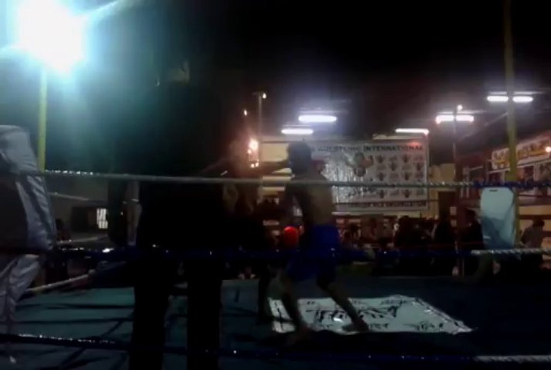 MMA Egypt 2