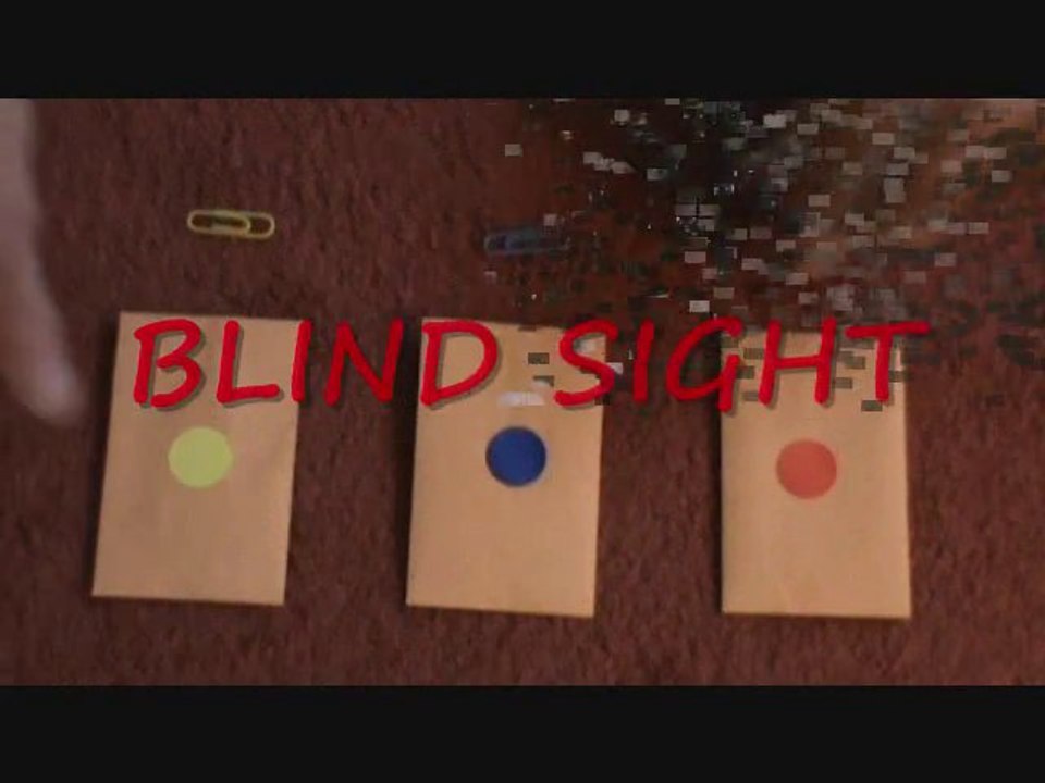 BLIND SIGHT 2.0