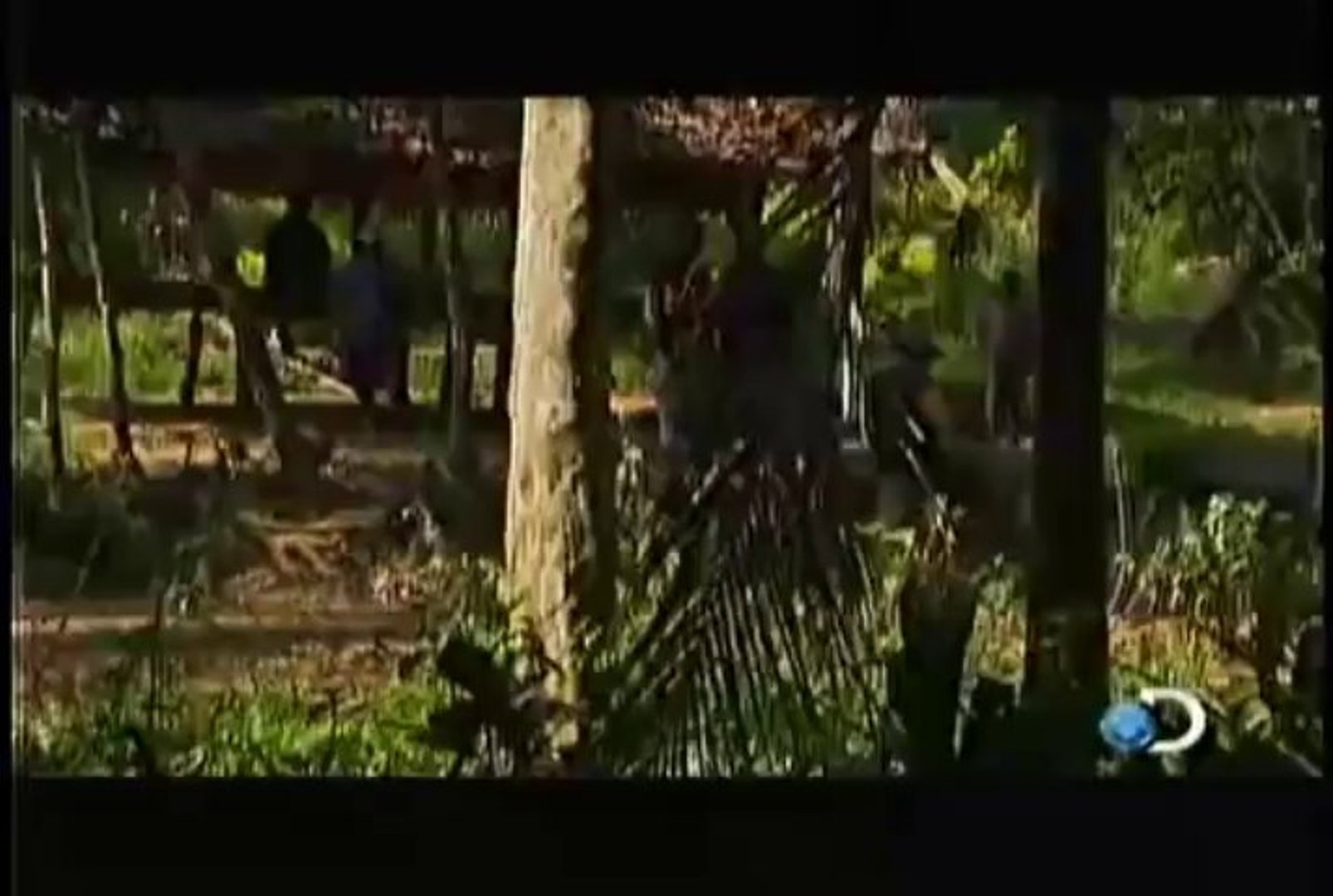 Discovery Channel - Monstruos Del Rios