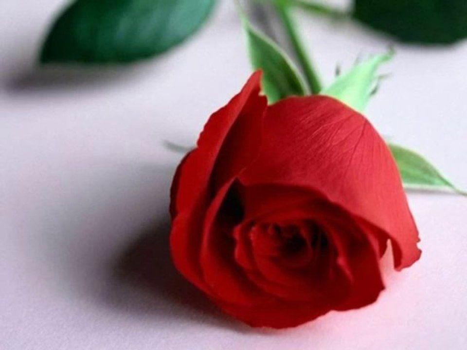 Tera Mera Pyar [Full Sgon]  HD With Lyrics  Tera Mera Pyar