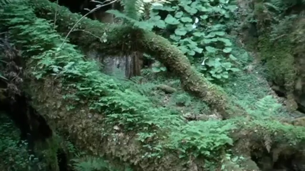 Il était une fois... Les Tranchades