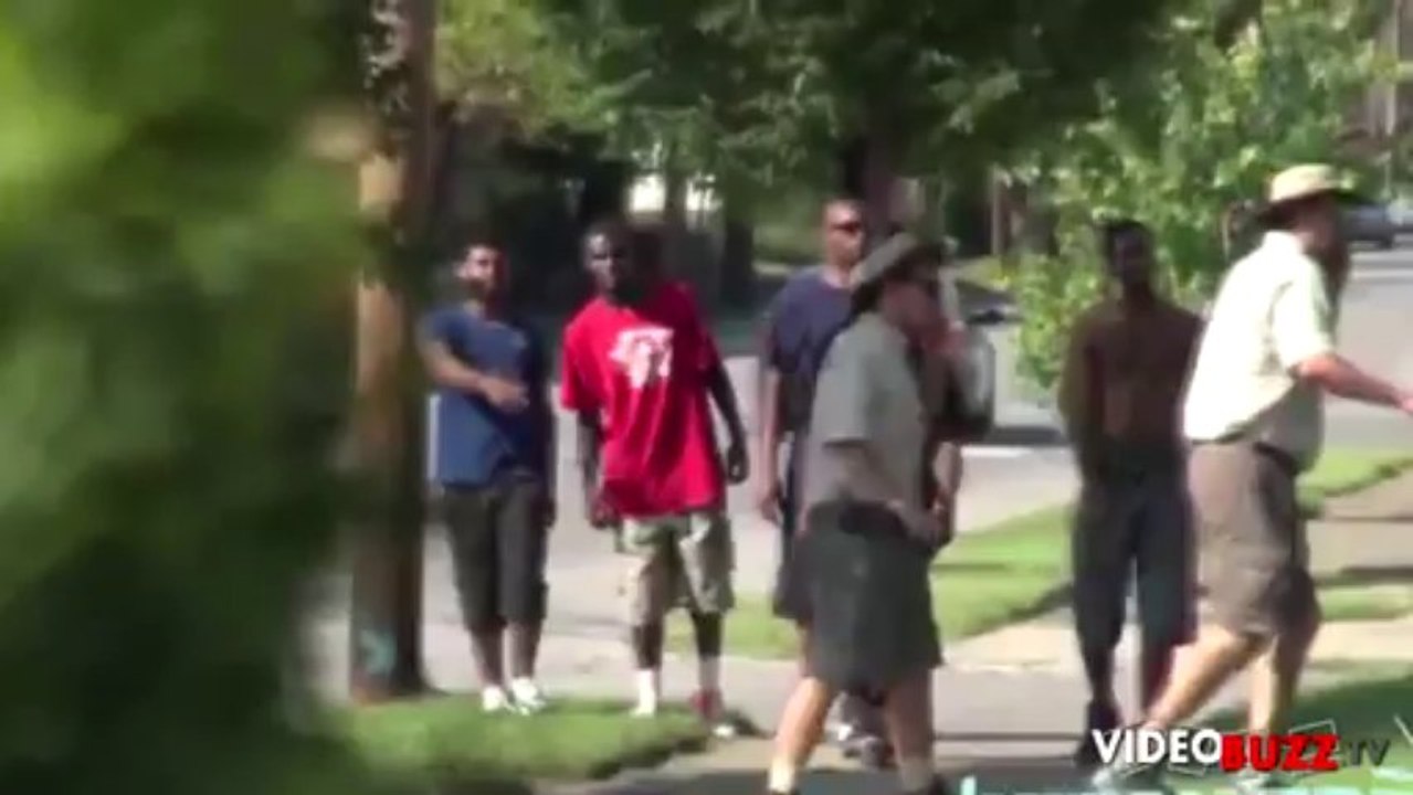 Un lion s'est échappé du zoo