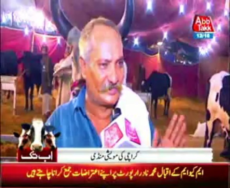 Karachi cattle market