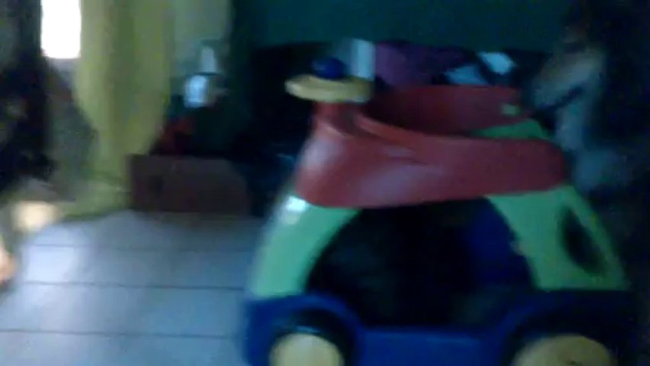 MOV_0366[1]