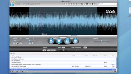 Free Bird solo sections slowed down Lynyrd Skynyrd