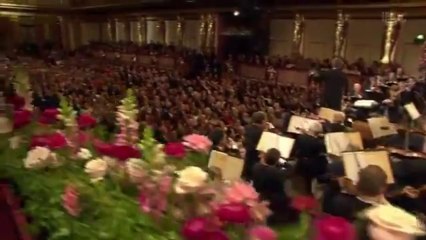 2013 ウィーン・フィル ニューイヤーコンサート・ラデッキー行進曲