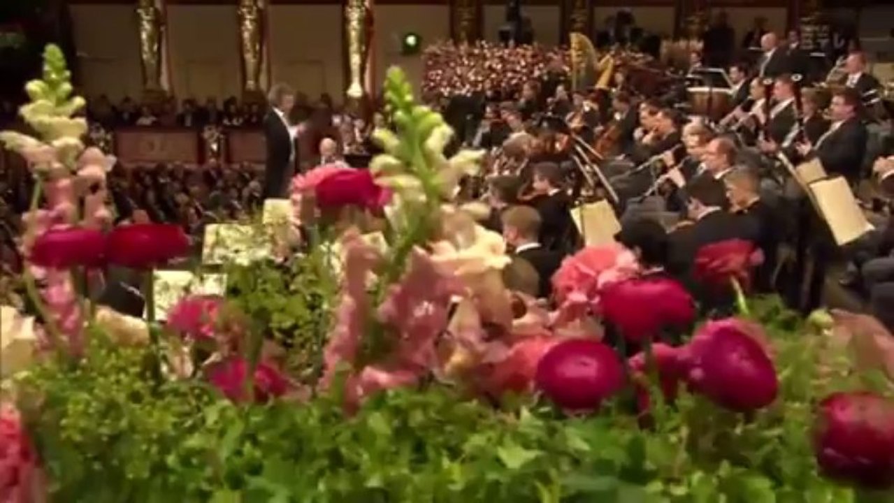 2013 ウィーン・フィル ニューイヤーコンサート・美しく青きドナウ