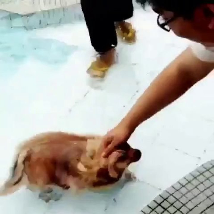 swimming :)