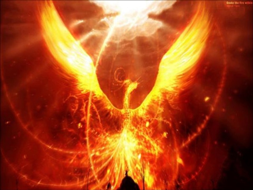 Animals vs Epic