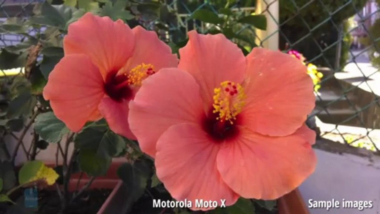 Apple iPhone 5s vs Motorola Moto X