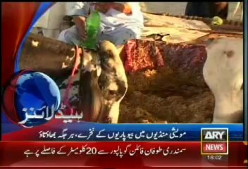 Headlines - 1800 - Saturday - 12 - Oct - 2013