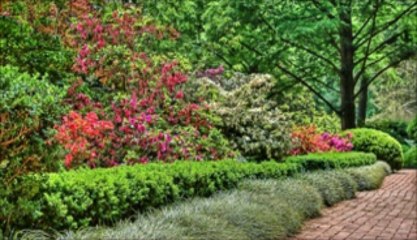 "ΤΩΝ ΑΓΙΩΝ ΠΑΤΕΡΩΝ" ΝΤΑΡΑΒΑΝΟΓΛΟΥ ΓΡΗΓΟΡΗΣ