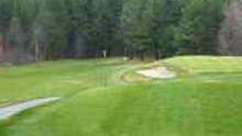 Golf Party