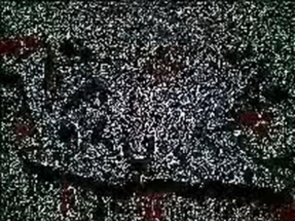 Clip koko molo