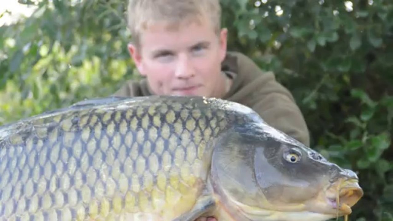 Remise à l'eau carpe commune - Jeoffrey Team TFS