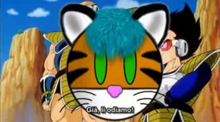 Dragon Ball Z Abridged - Bonus 02 - Episodio 2... [Fra ep. 1 e 2] [ENG SUB ITA]