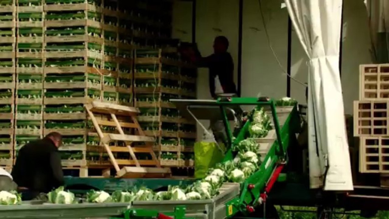 Saint Omer entre ville et marais / Saint-Omer Between Town and Marsh - audomarois - film documentaire