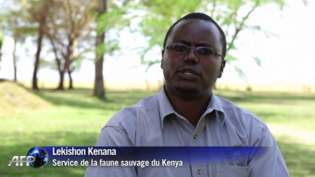 Le Kenya et la Tanzanie recensent leur faune sauvage