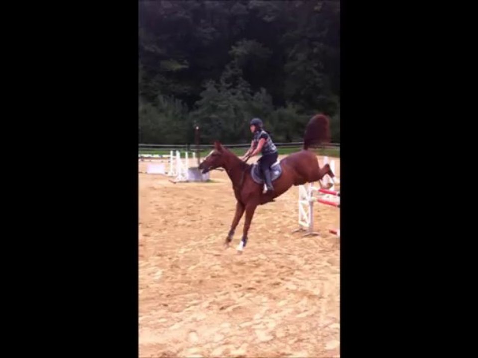 loock ventes CCI Pau 2013