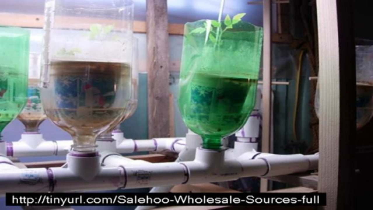easydiyaquaponics5
