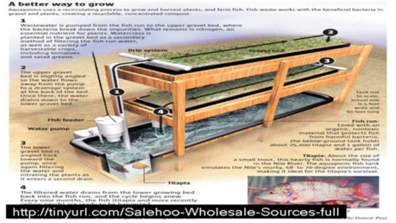 easydiyaquaponics4