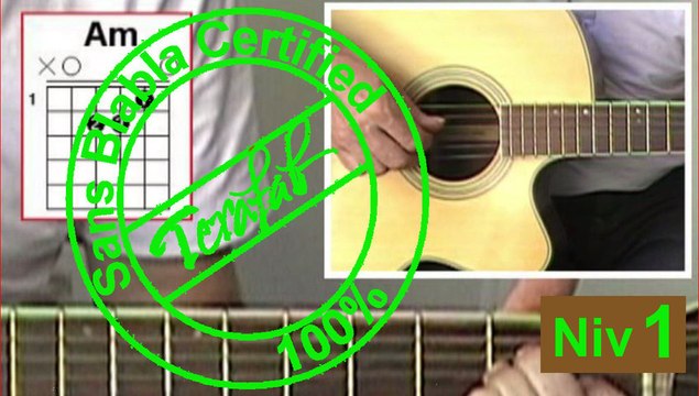 Jolie bouteille sacrée bouteille - Graeme Allwright [Tuto guitare] by Terafab