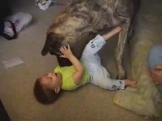 Big Dog Playing With Baby - Funny Videos at Fully :)(: Silly