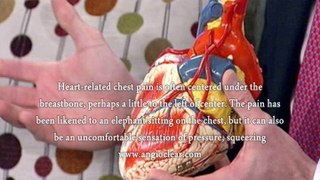 Cardiovascular Disease Early Symptoms, What Are Cardiovascular Disease Early Symptoms