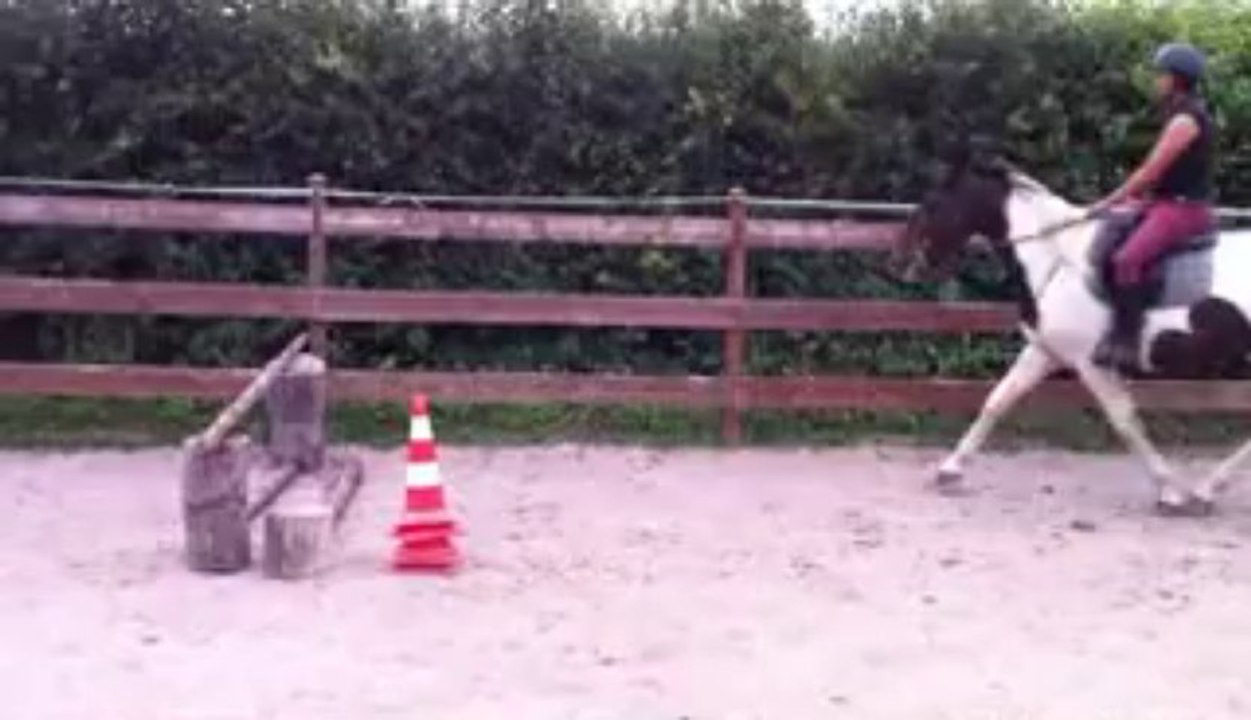 saut monté