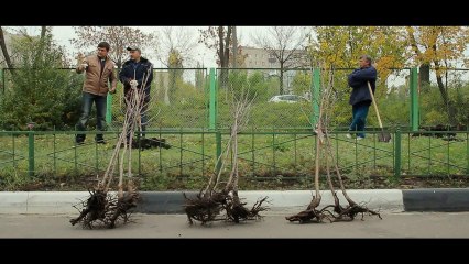 Акция "Живи лес"