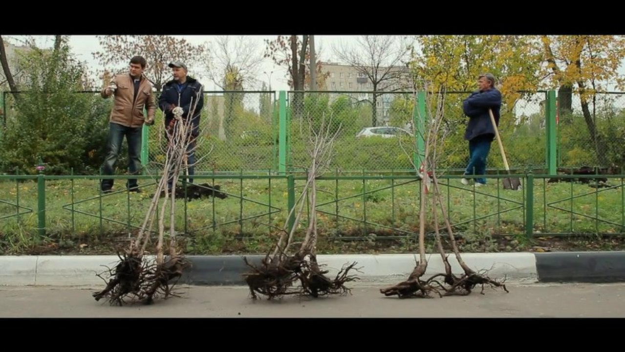Акция "Живи лес"