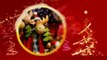 Slideshow New Year And Christmas Wood. - After Effects Template