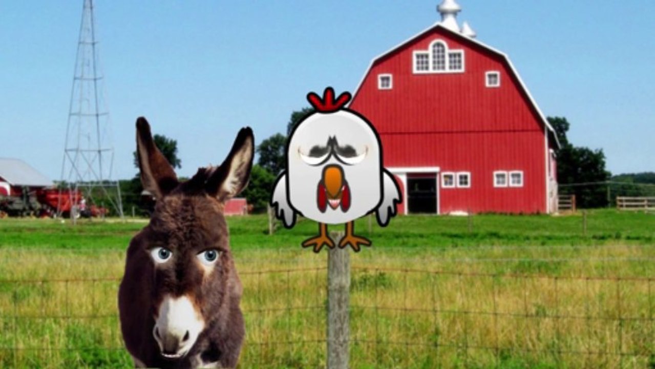 Donkey and Rooster video Dailymotion