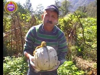 Kurbanlık alana kabak bedava