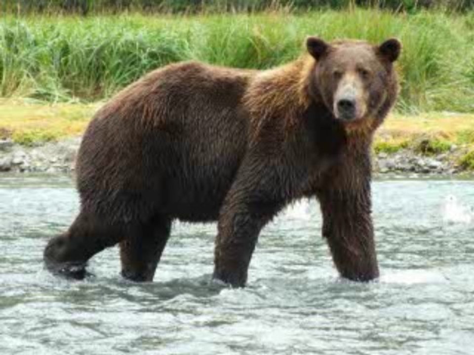 Navigation en Alaska 2013