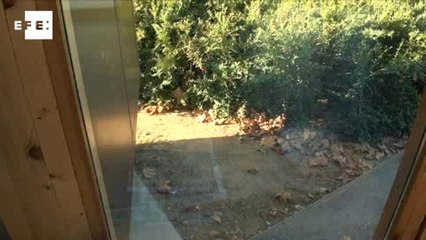 Noem, una casa modular ecológica casi al instante y sin vicios ocultos