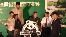 Ecoturismo pode ajudar a China a preservar os ursos panda