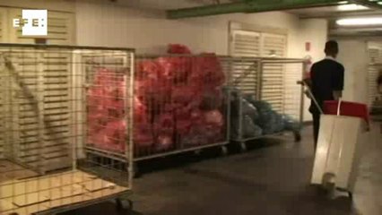 Uma aposta pela inteligência verde no coração de São Paulo.