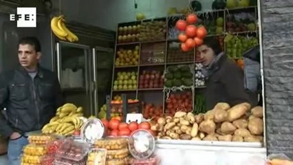 ONU 3 milhões de sírios necessitam ajuda alimentícia.