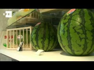 Japanese need deep pockets to feed passion for fruit