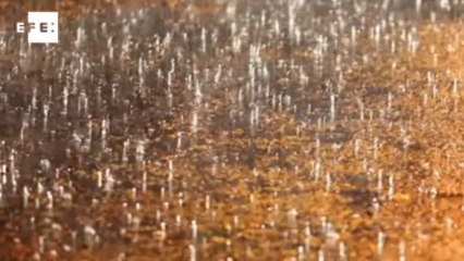 EFEMÉRIDES   Se cumplen 30 años de la rotura de la presa de Tous