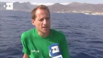 El cachalote sufre problemas de tráfico en las islas Canarias