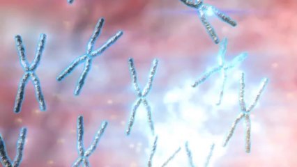 Epigenoma de la Leucemia linfática