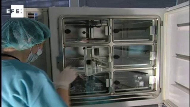 Científicos españoles descubren el mecanismo de resistencia a la quimioterapia 150