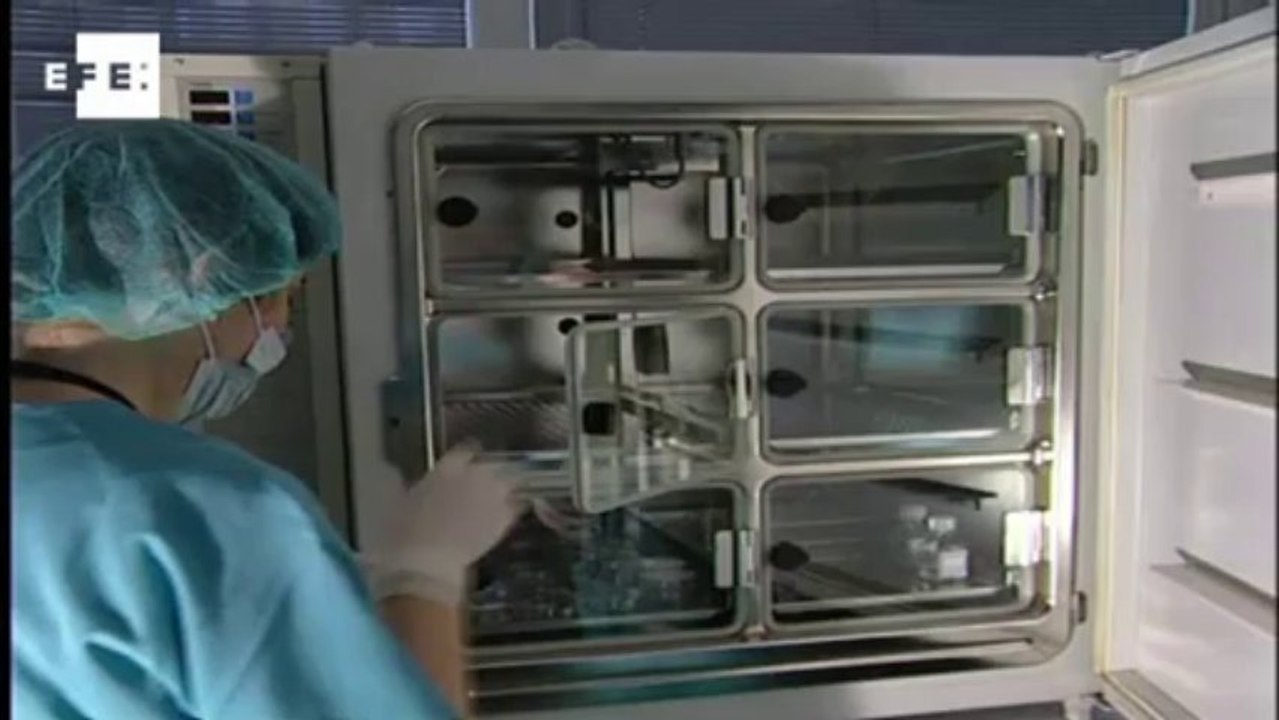 Científicos españoles descubren el mecanismo de resistencia a la quimioterapia 150