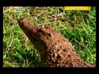 ألعاب العقل إعمال العقل أو إلغاؤه