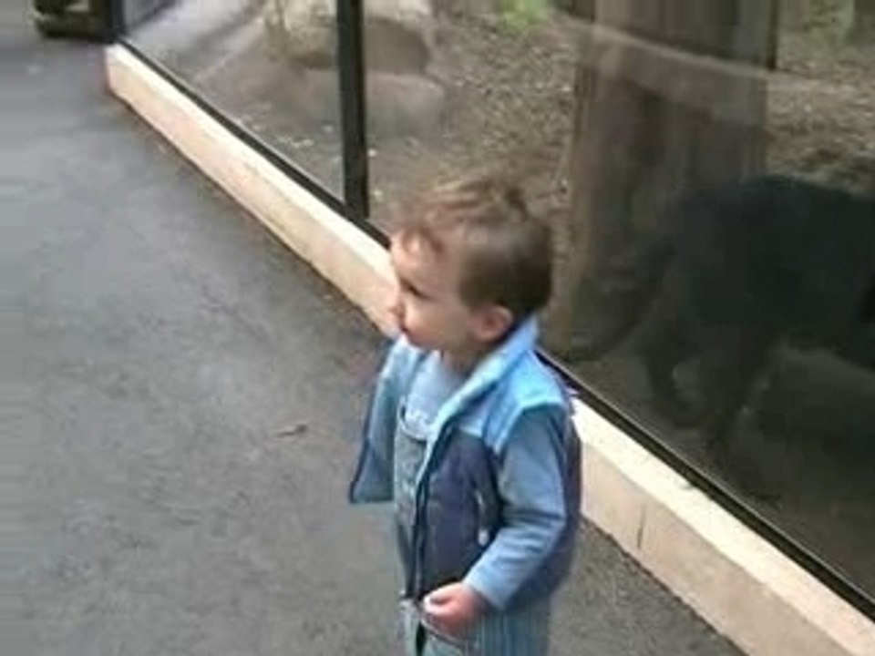 ESTEBAN AU ZOO