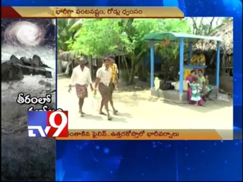 Phailin cyclone; Strong winds uproot trees and electric poles