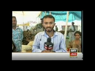 BULLETIN - 1200 - Sunday - Oct - 13 - 2013