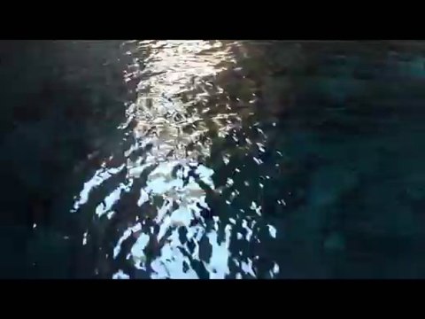 Balade en mer au pied de la citadelle de Bonifacio